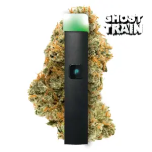 PLUGplay | JUSTplay™ Ghost Train All-in-One Pen – 1.0g